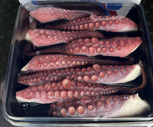Octopus Tentakeln, MVNIQ Estirado Tentakeln im Tray