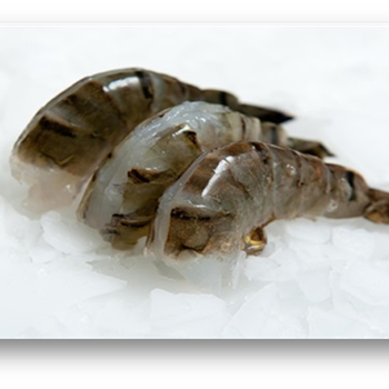 Black Tiger Garnelen EZP MVNIQ Seafood, 1000 g