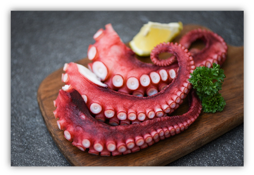 Octopus Tentakeln, MVNIQ Estirado Tentakeln im Tray